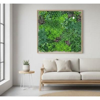 Mur Végétal Jungle 1m x 1m